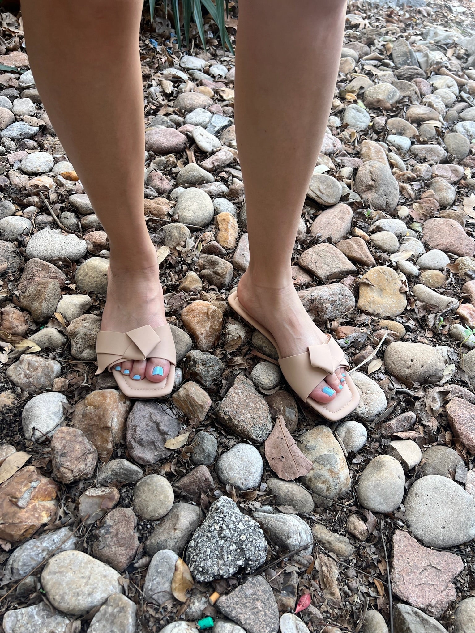 Diana Slides