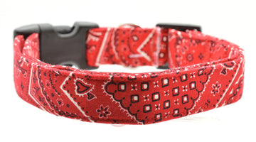 Dog Collars
