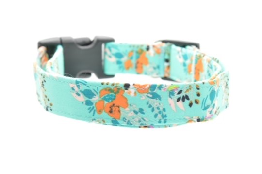 Dog Collars