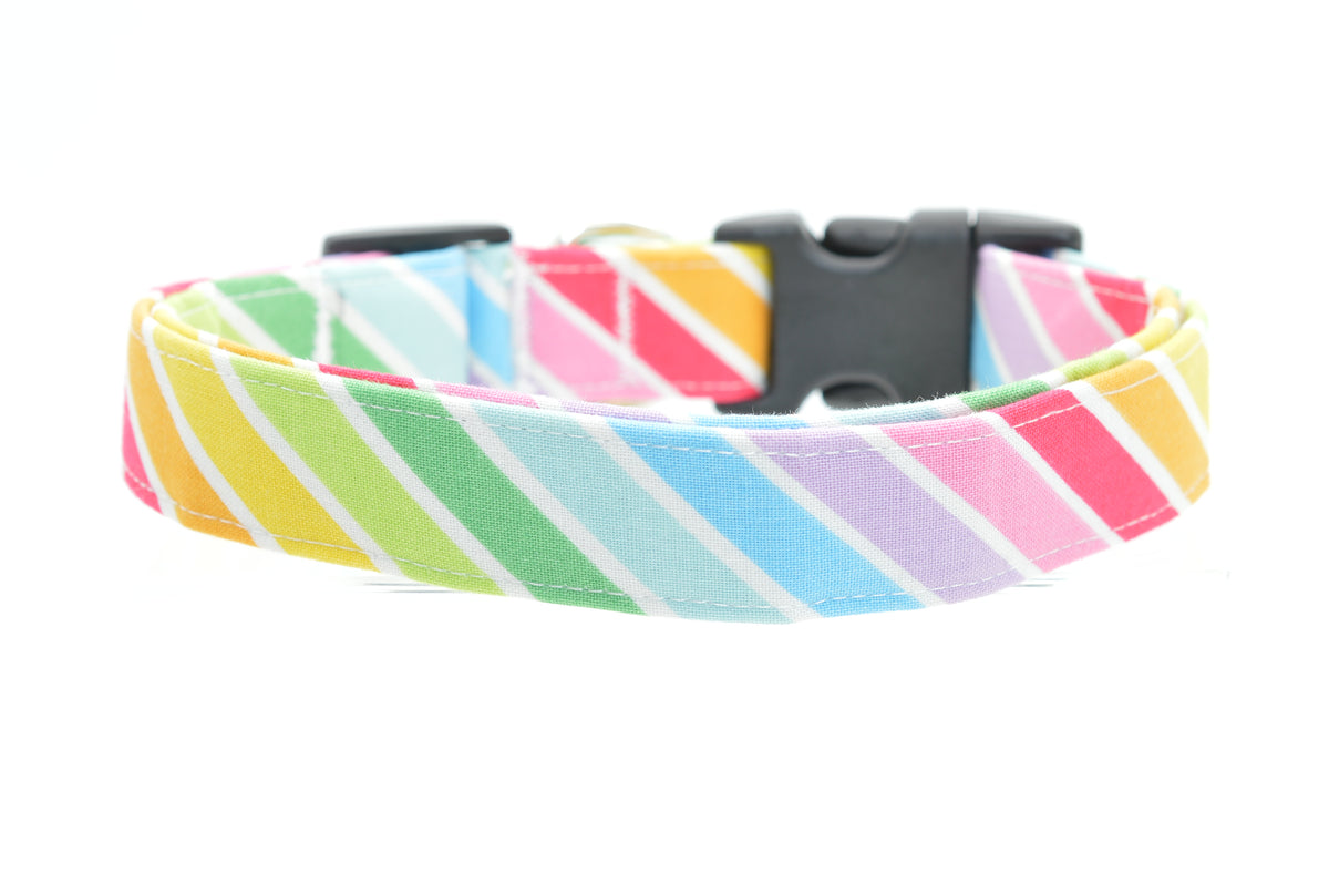 Dog Collars
