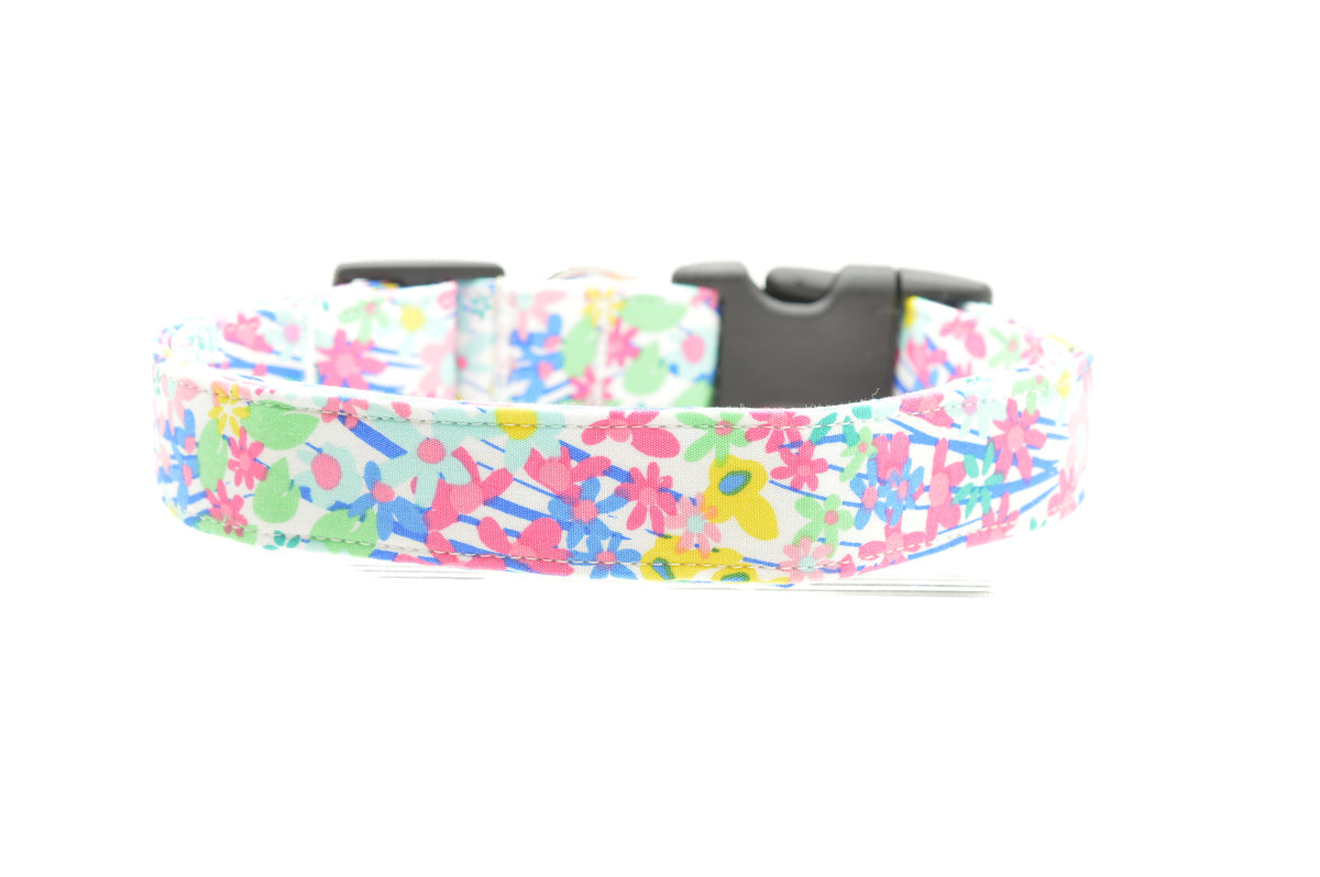 Dog Collars